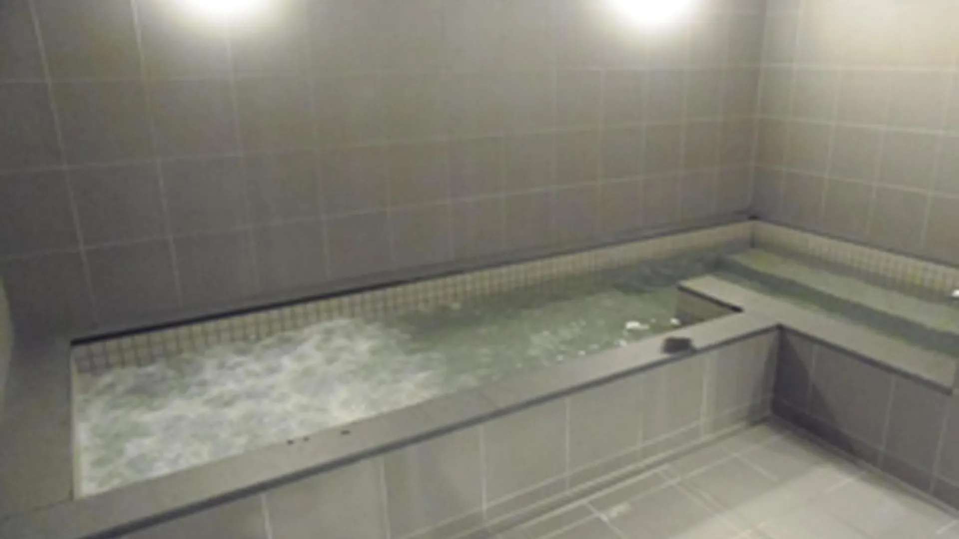 The Nell Ueno Okachimachi Hotel Tokyo 0*,